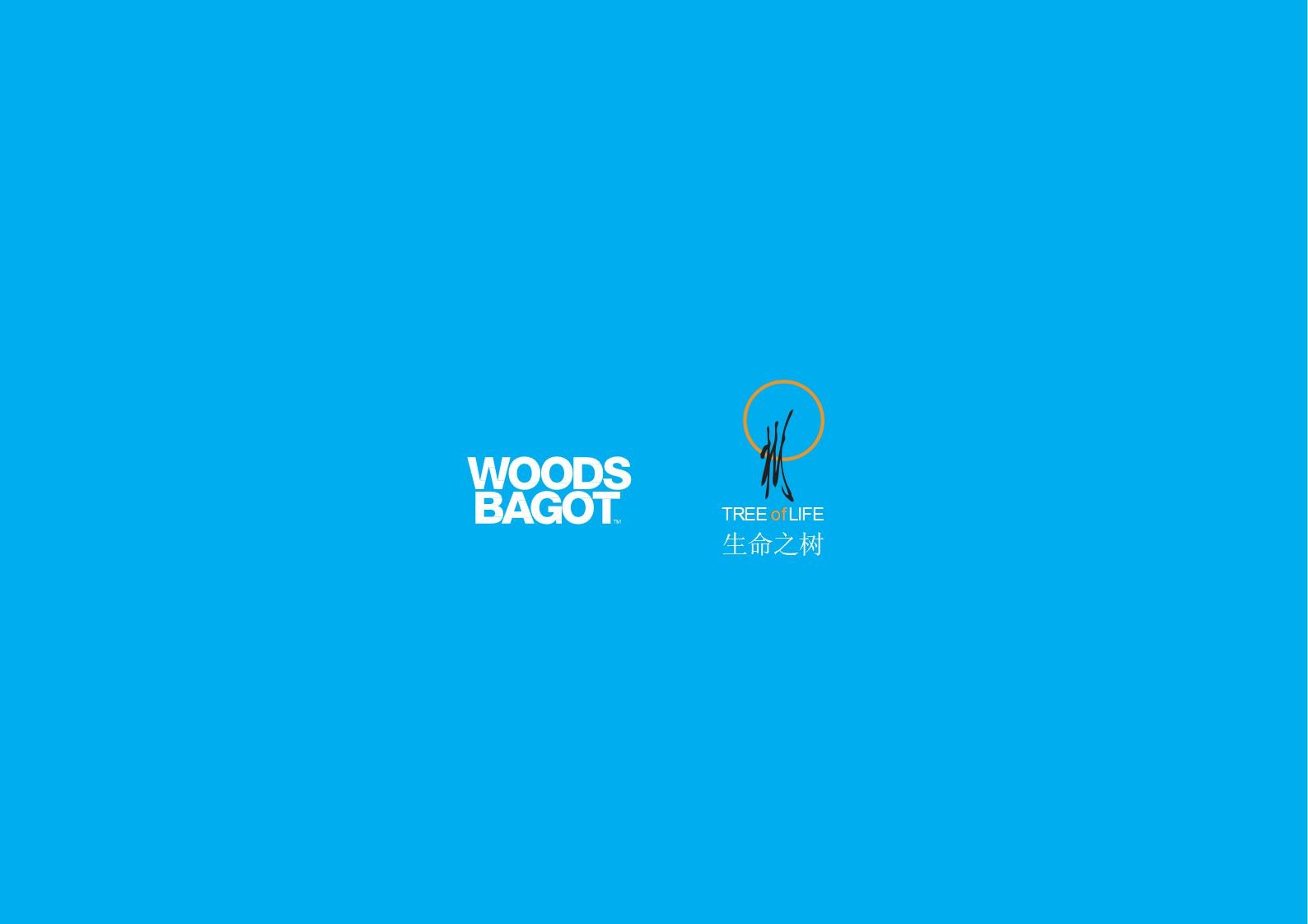 【Woods Bagot伍兹贝格】合肥万科广场丨深化设计方案PPT丨214页丨309M丨2019.05开业_109.jpg