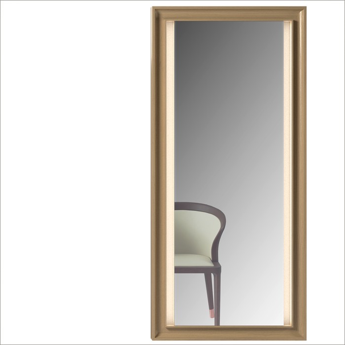 SEVI_mirror_small.jpg