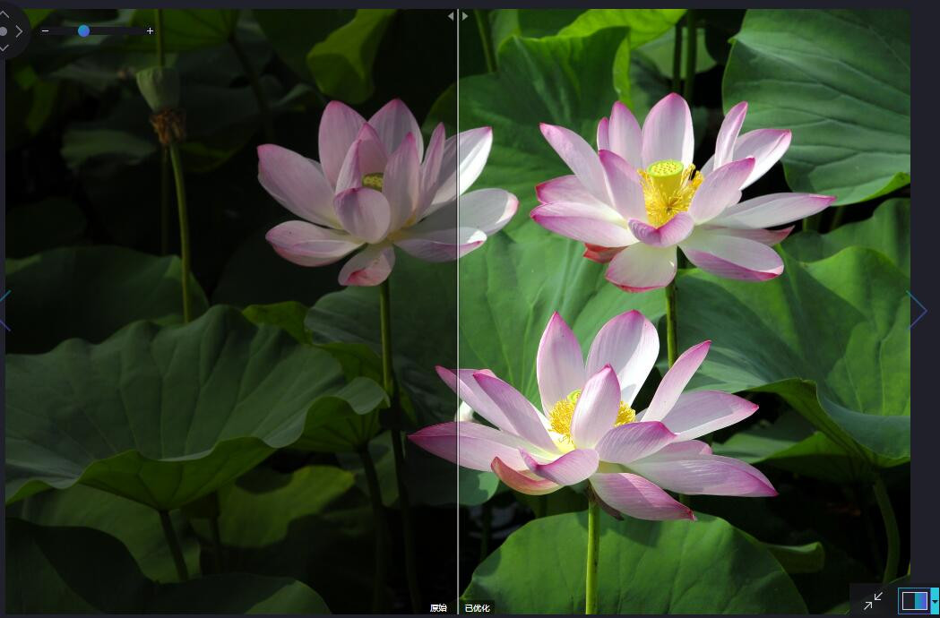 图片处理优化Ashampoo Photo Optimizer v7.0.1.1 中文特别版