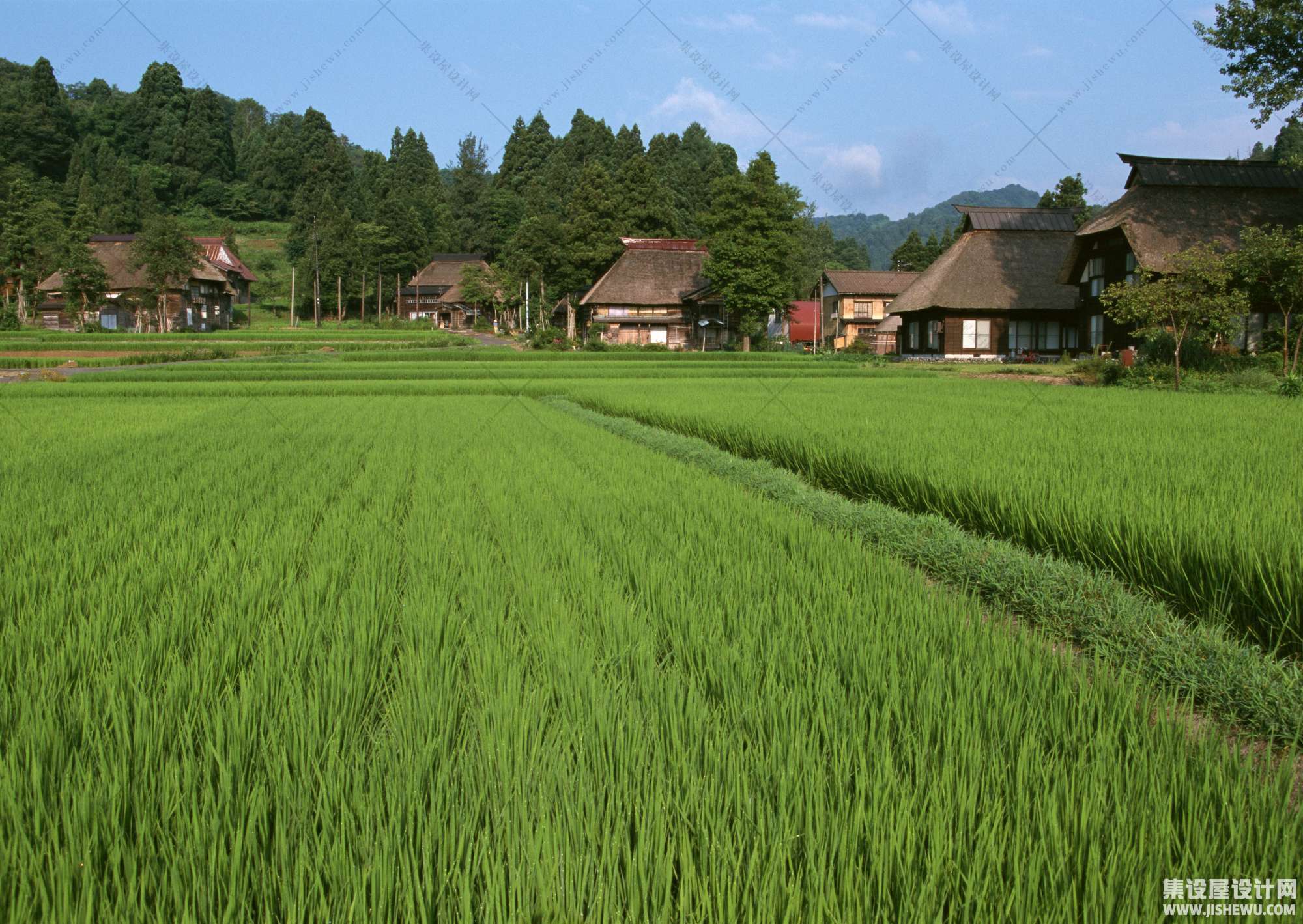 田园风格-1