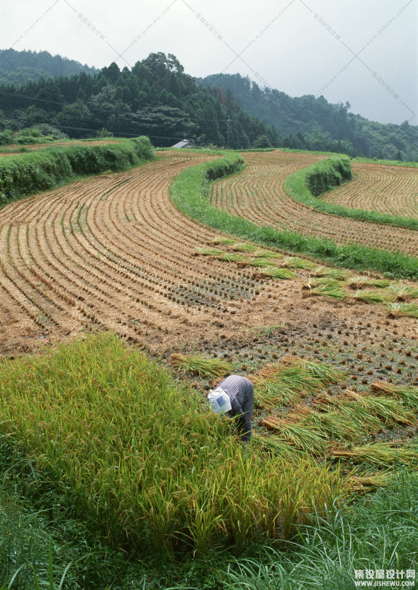 田园风格-1