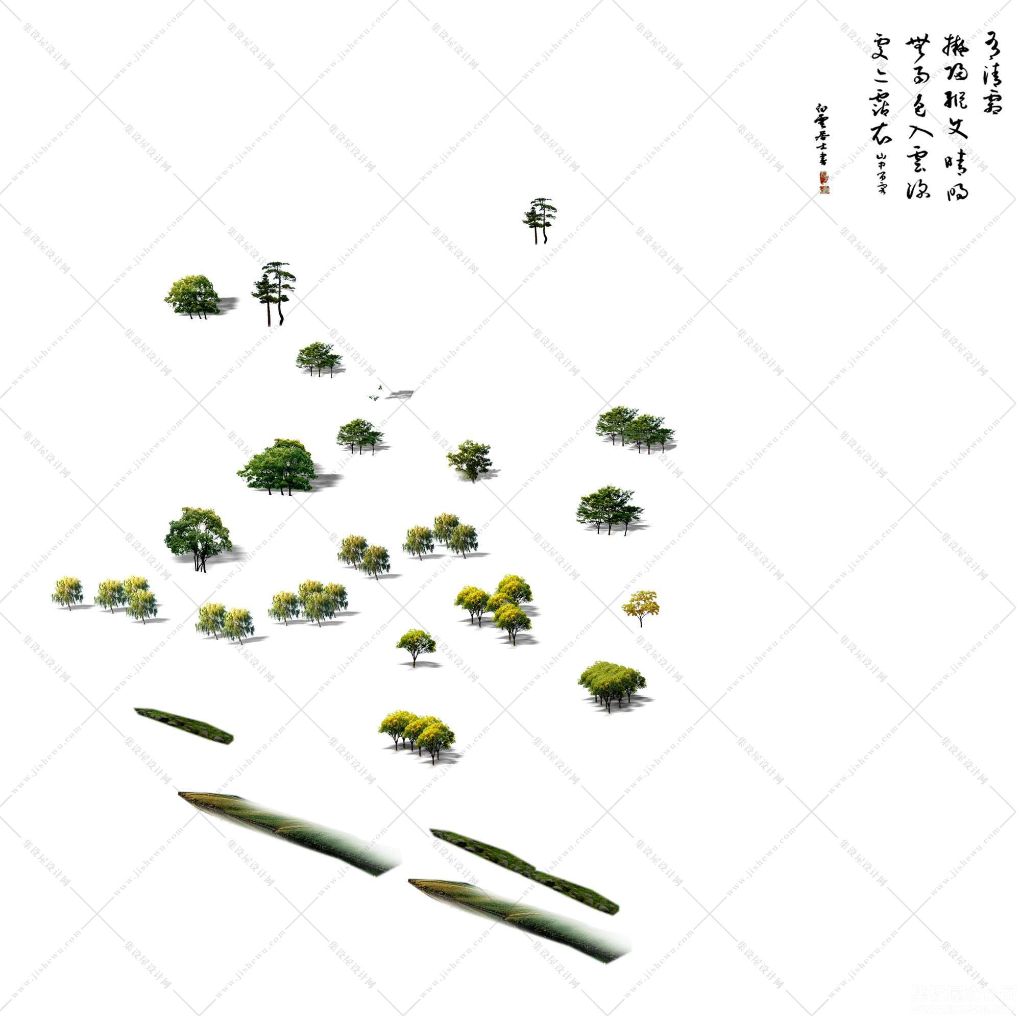 鸟瞰植物-1