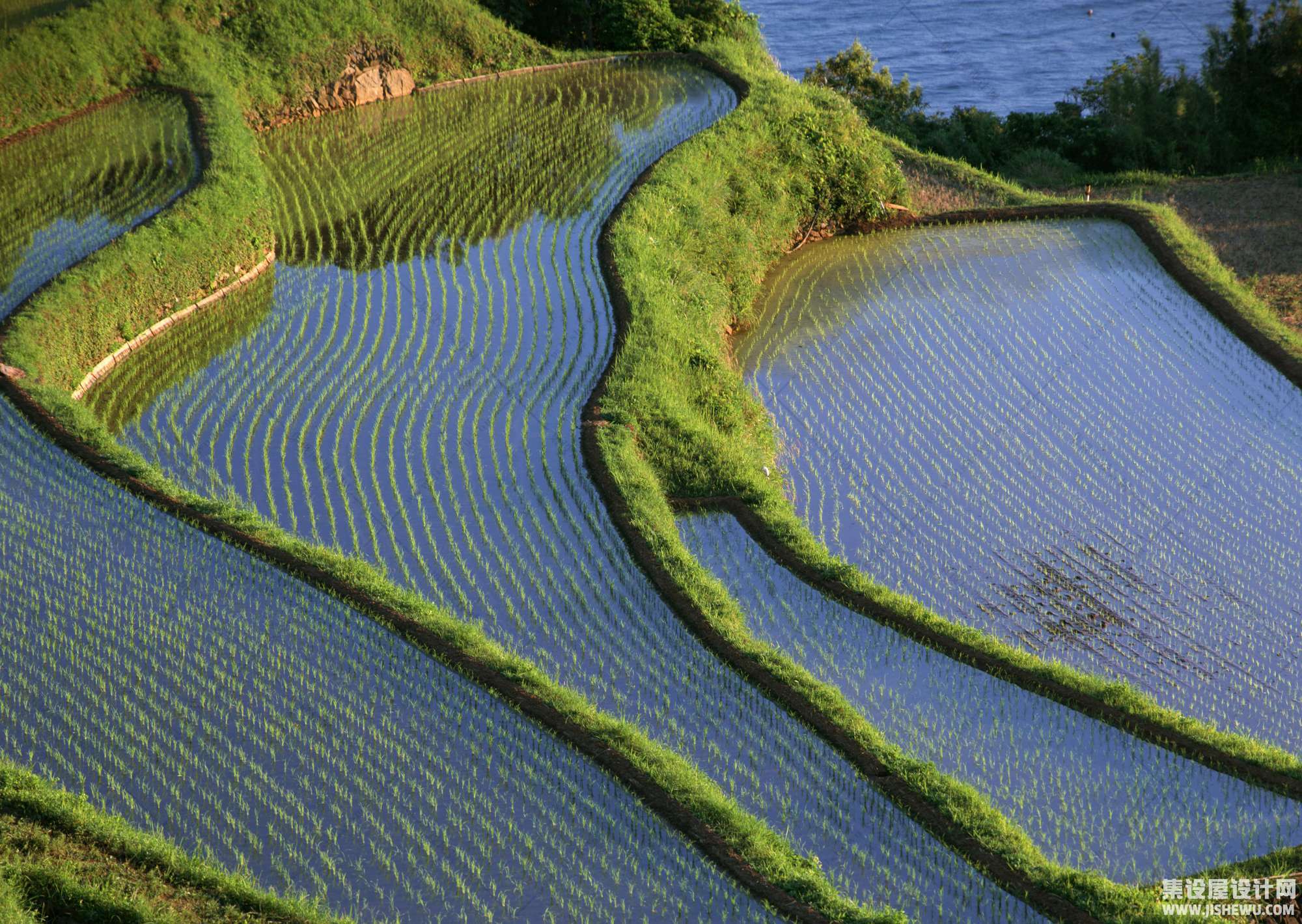 田园风格-1