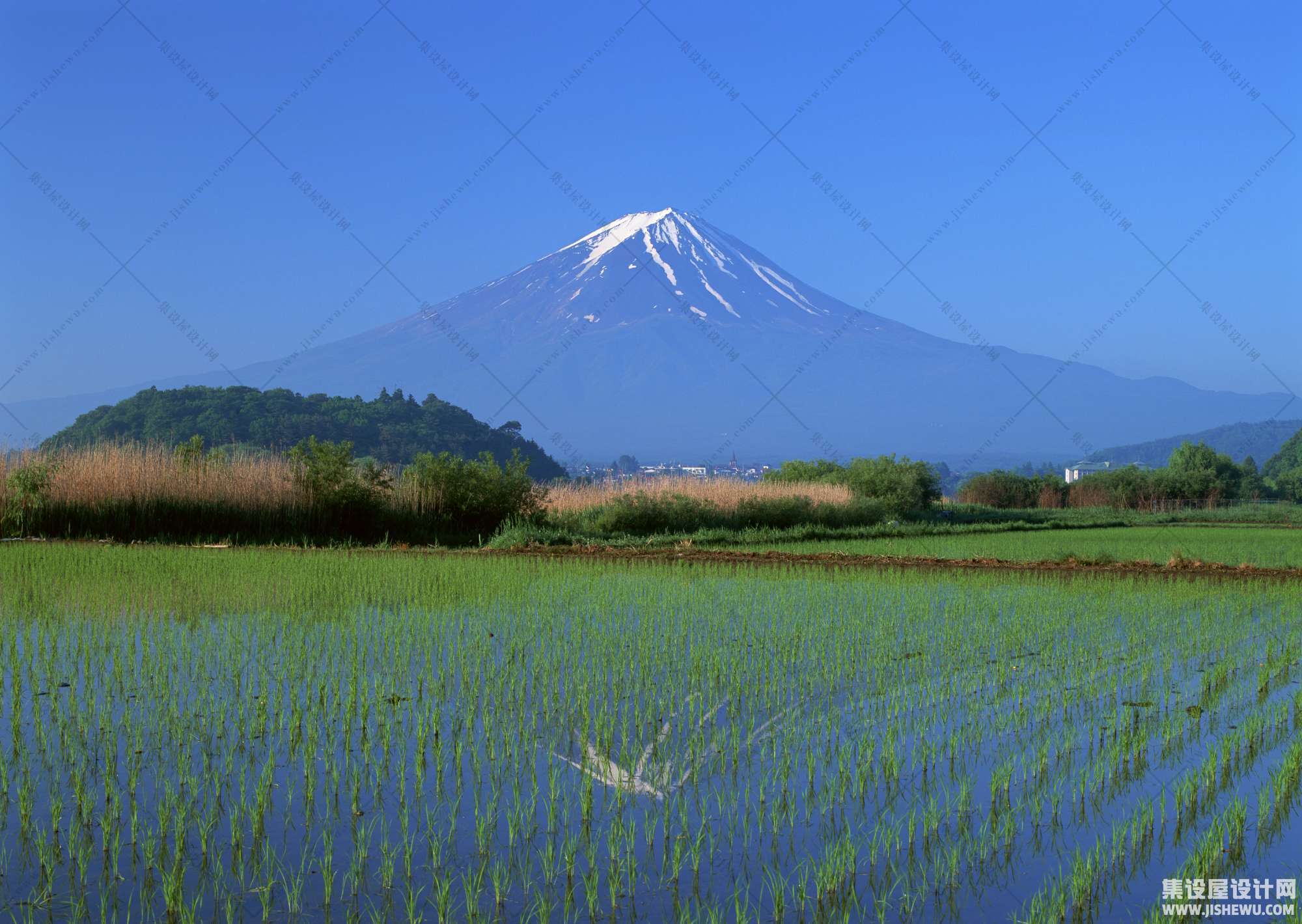 田园风格-1