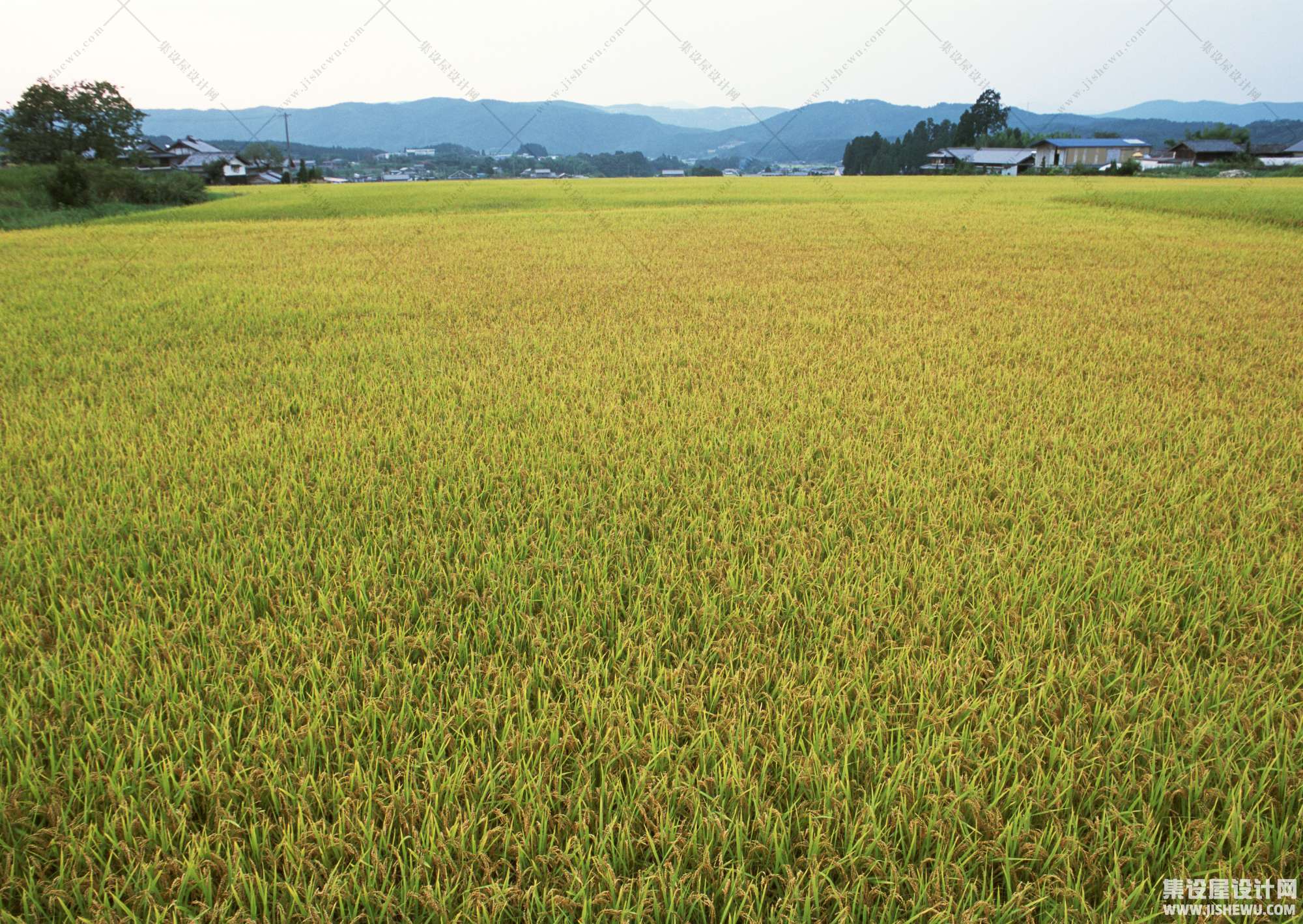 田园风格-1