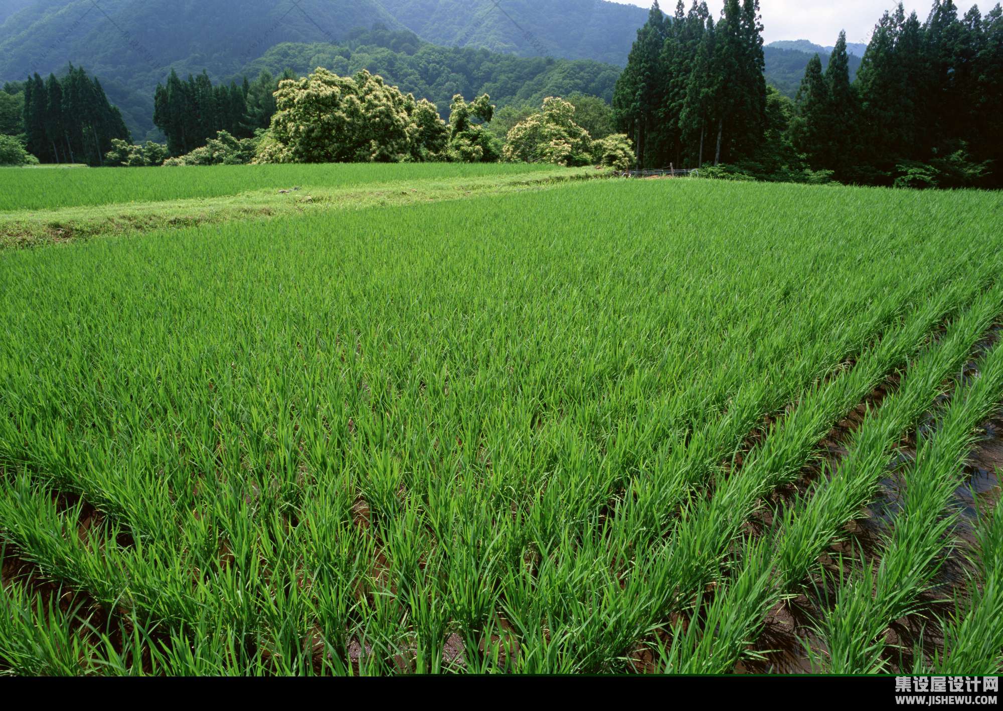 田园风格-1