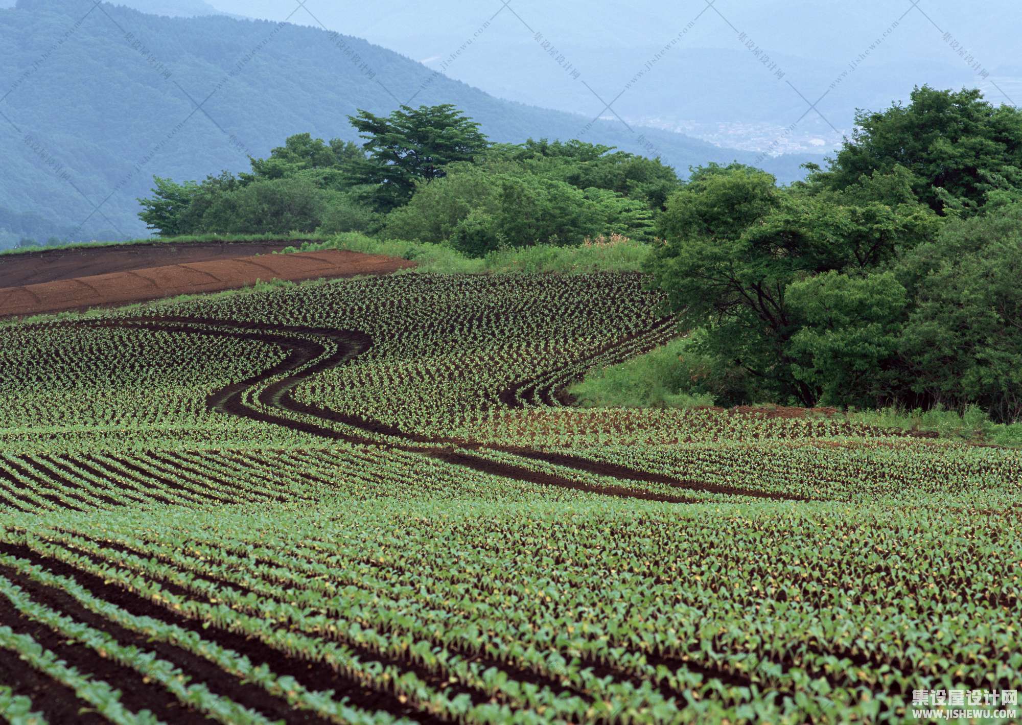 田园风格-1