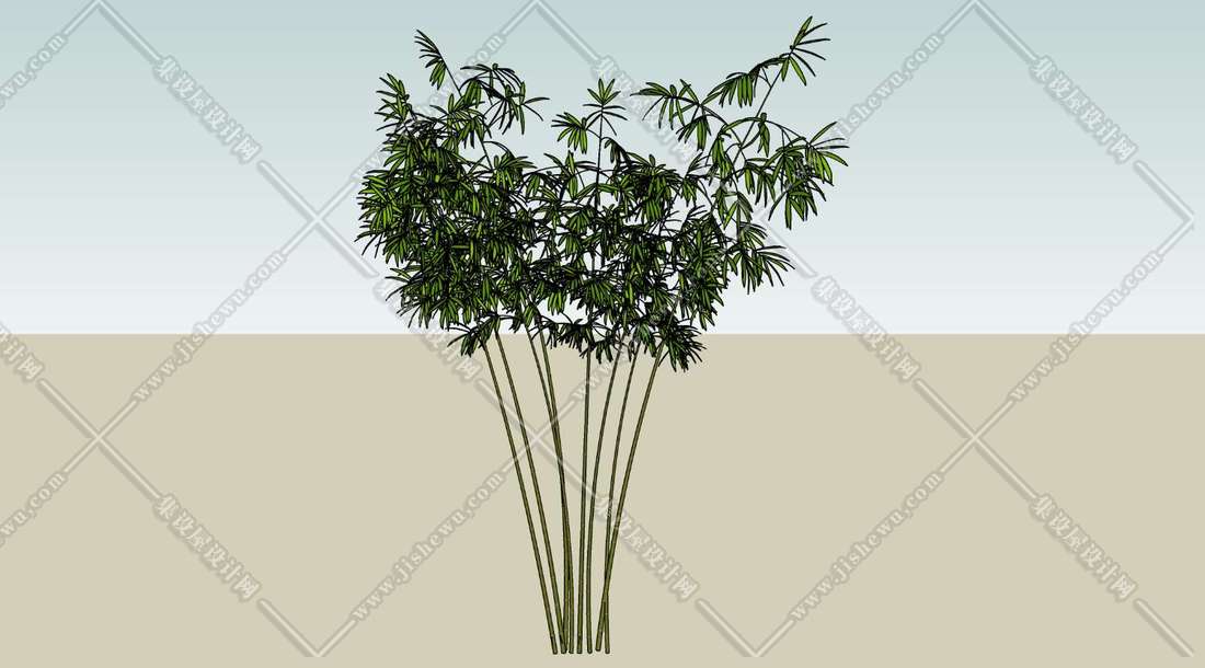 树木 植物 su模型-1