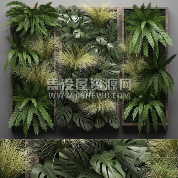 植物-1