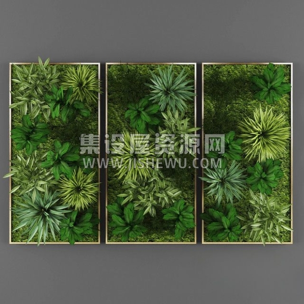 植物-1